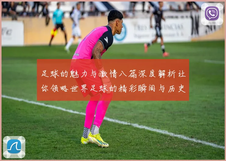 足球的魅力与激情八篇深度解析让你领略世界足球的精彩瞬间与历史传承