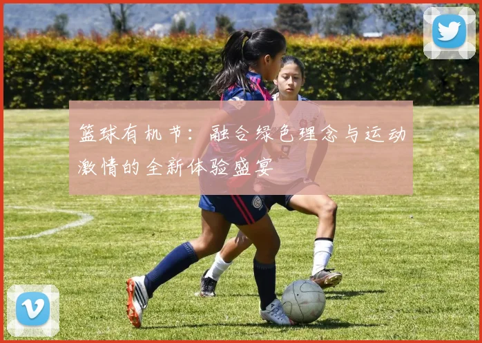 篮球有机节：融合绿色理念与运动激情的全新体验盛宴