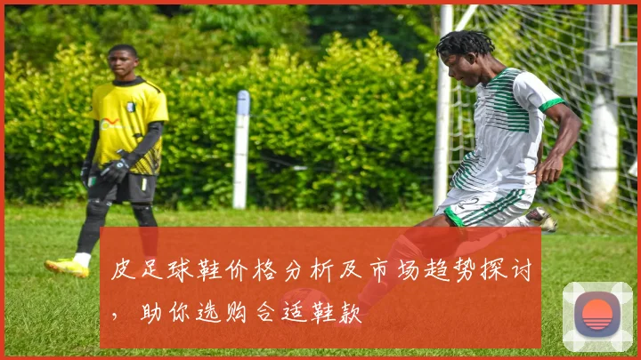 皮足球鞋价格分析及市场趋势探讨，助你选购合适鞋款