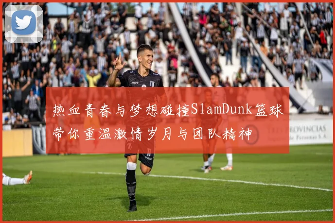 热血青春与梦想碰撞SlamDunk篮球带你重温激情岁月与团队精神