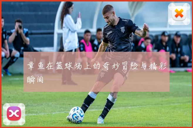 章鱼在篮球场上的奇妙冒险与精彩瞬间
